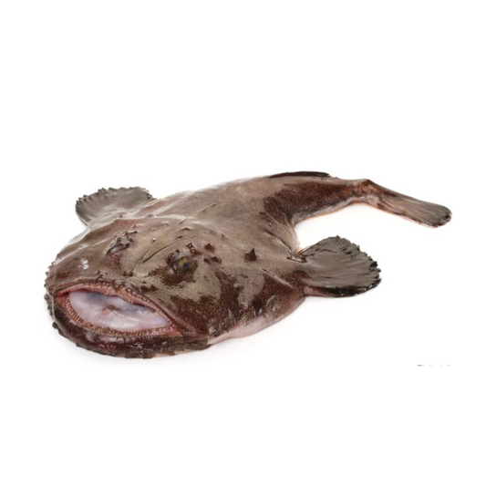 Frozen Monkfish Bulk 4p 10kg /냉동 아구 4미 10kg