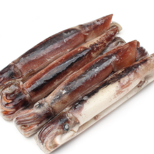 Frozen Squid Whole 8kg (Approx.26)/냉동 오징어 선동 벌크