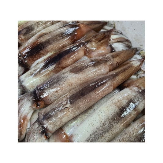 冷凍イカ丸ごと3kg(約10個)/냉동 오징어 육동 벌크